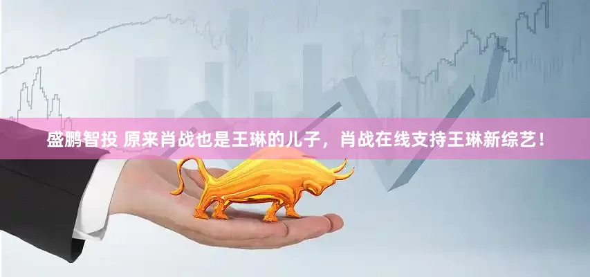 盛鹏智投 原来肖战也是王琳的儿子，肖战在线支持王琳新综艺！