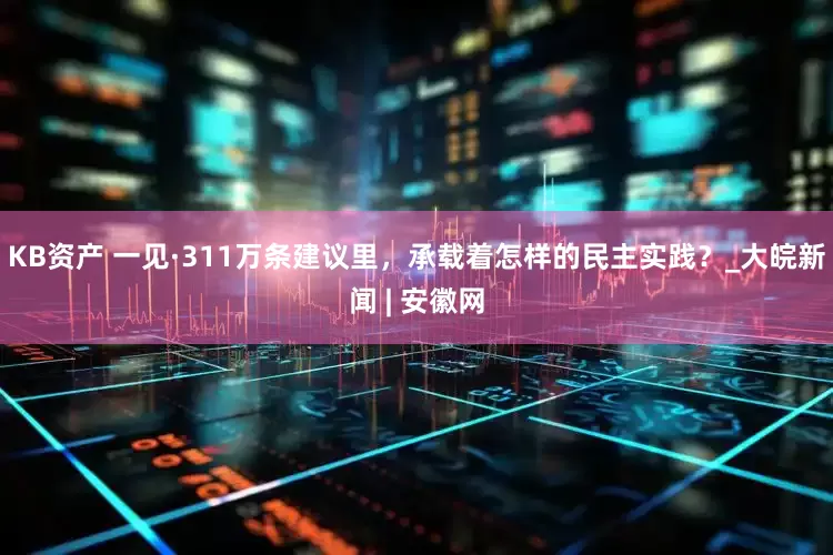 KB资产 一见·311万条建议里，承载着怎样的民主实践？_大皖新闻 | 安徽网