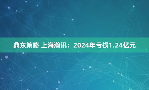 鼎东策略 上海瀚讯：2024年亏损1.24亿元