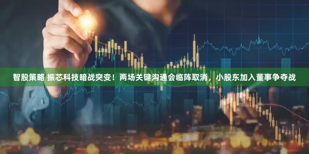 智股策略 振芯科技暗战突变！两场关键沟通会临阵取消，小股东加入董事争夺战